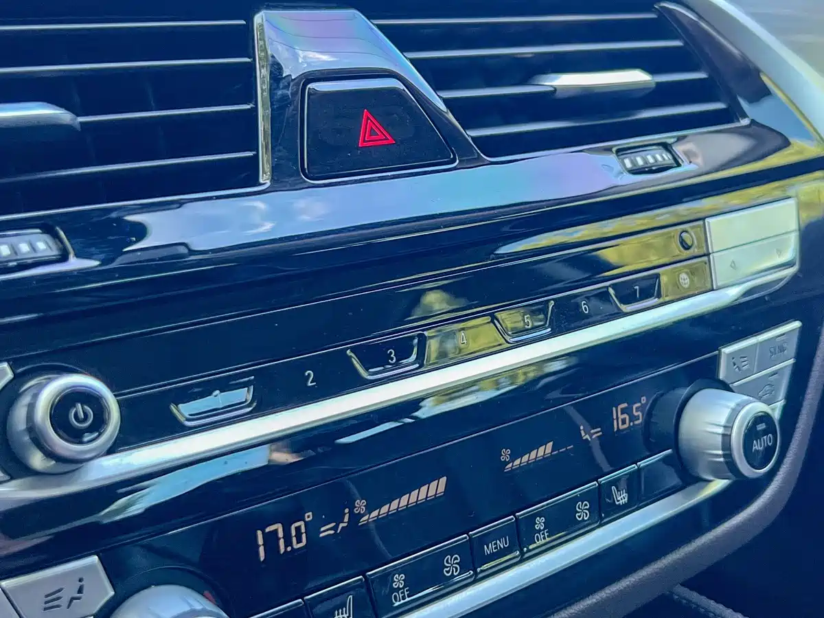 BMW 5 Series 2020 530Li Leading Luxury Package фото 8