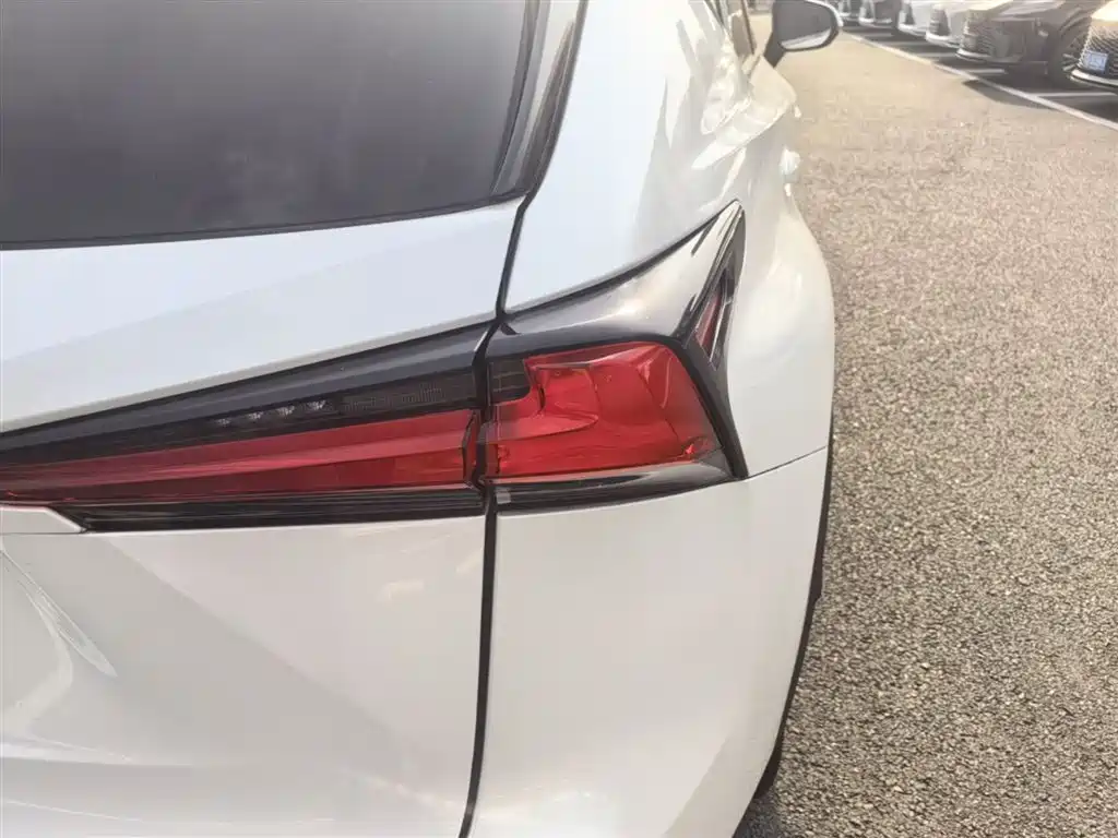 Lexus NX 2018 Model 300h FWD Fengshang Edition China V фото 8