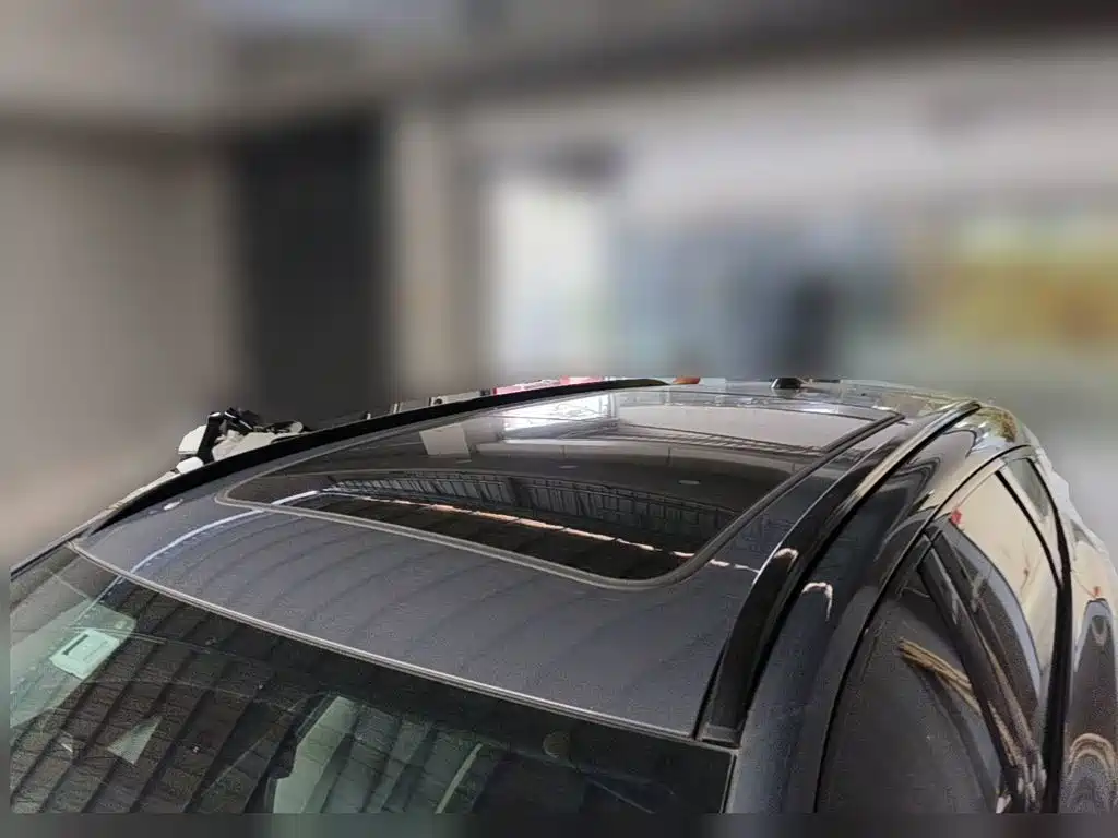 Denza X 2020 2020 PHEV Sport Edition