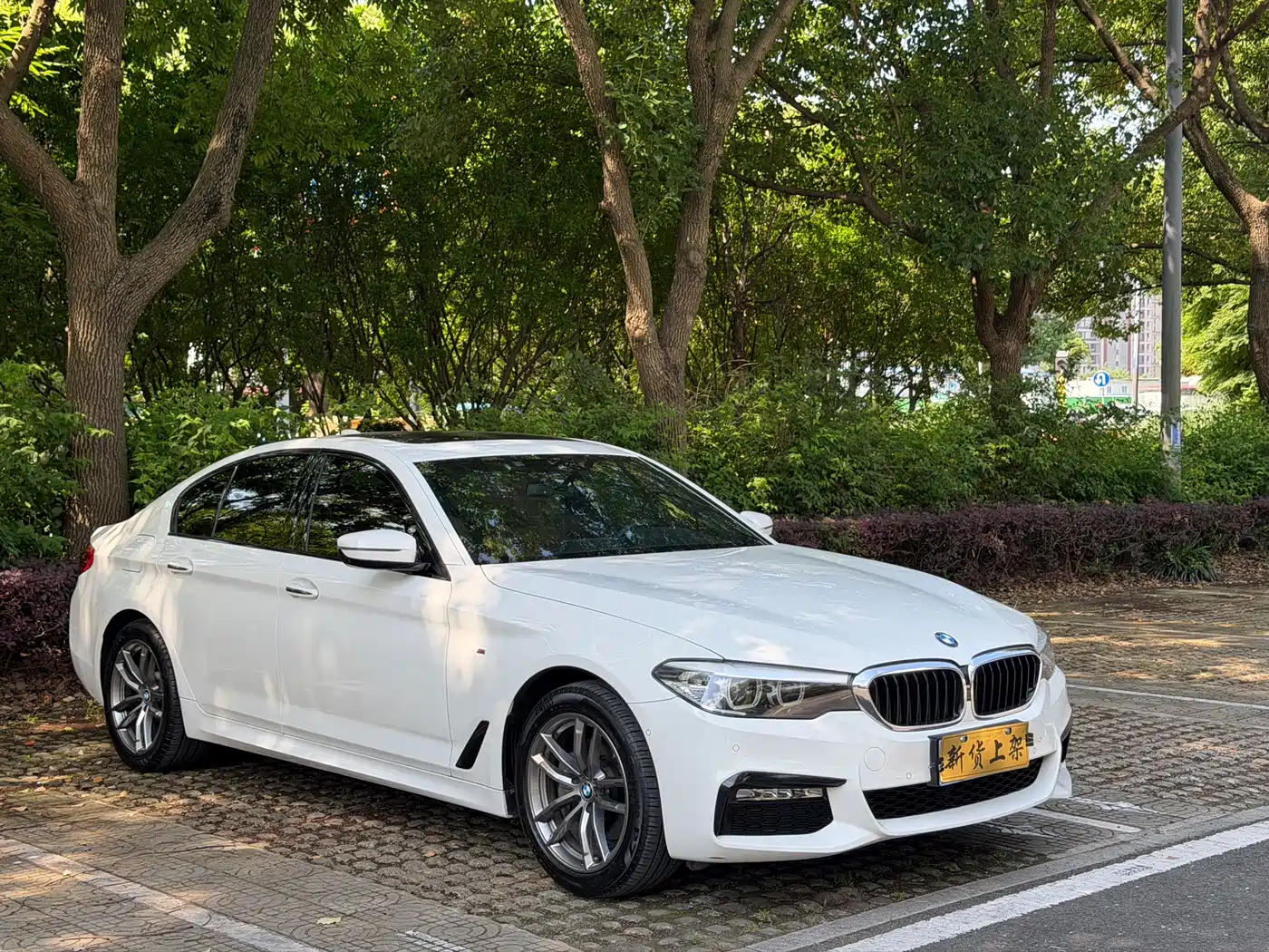BMW 5 Series (Import) 2018 525i M Sport Package фото 3
