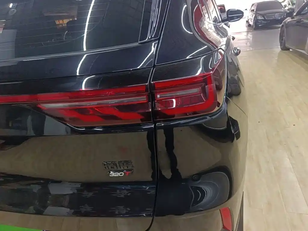 Dongfeng Aeolus Haoji 2024 2024 Mach Power 1.5T Premium