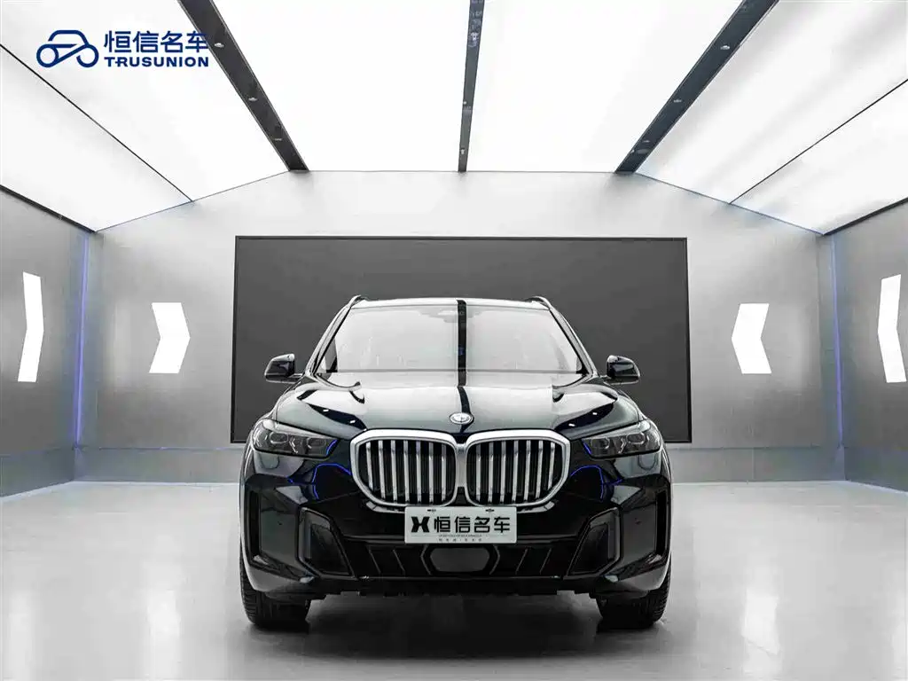 BMW X5 2023 xDrive 30Li Premium M Sport Black Night Package фото 2
