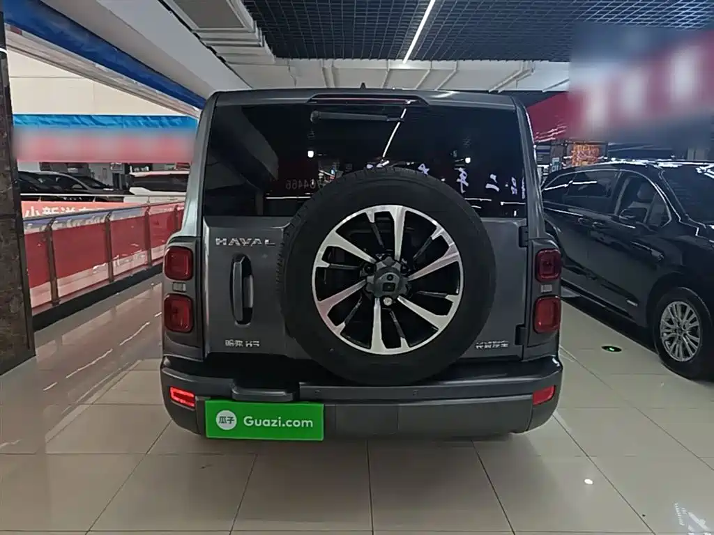 Haval H9 2024 2.0T Gasoline AWD Extreme Edition фото 6