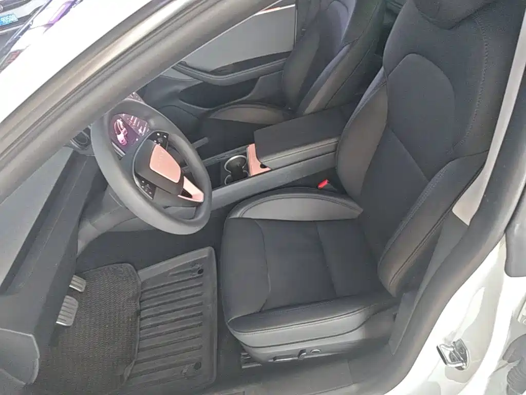 Tesla Model 3 2025 2025 Model Rear-Wheel Drive Edition