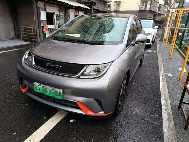 byd dolphin