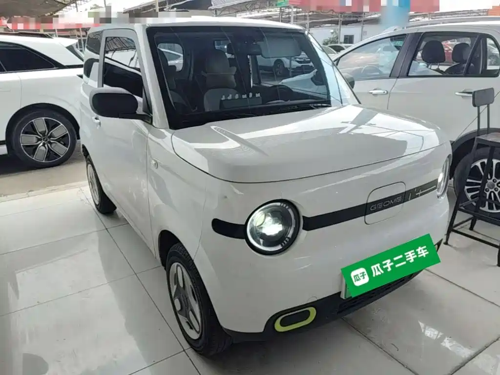 Geely Galaxy Panda 2025 2025 Panda mini 210km Vitality Bear