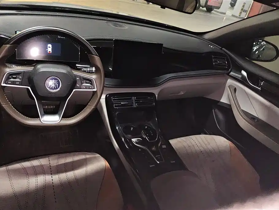 BYD Qin PLUS 2024 Glory Edition DM-i 55KM Leading фото 12