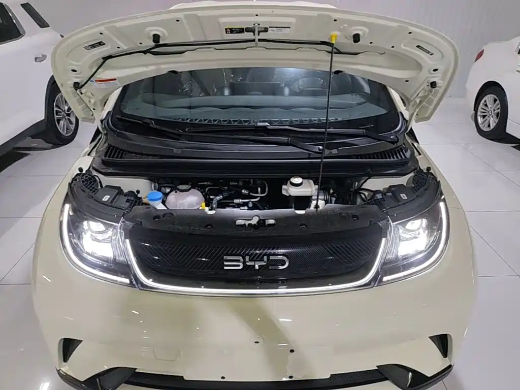 Фото 20 - BYD Dolphin