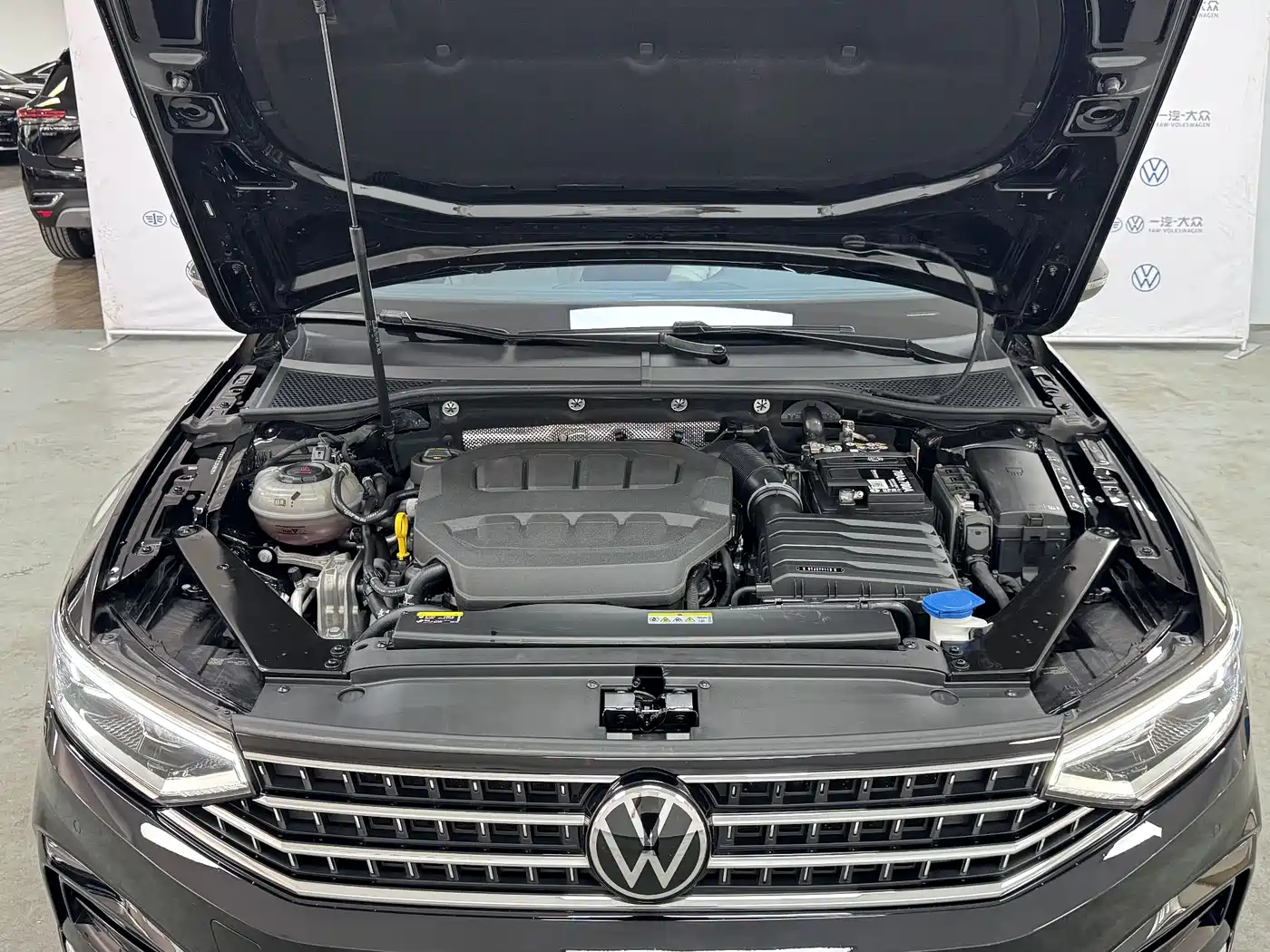 Volkswagen Magotan 2026 2026 Model 30 Million Special Selection 380TSI DSG Luxury