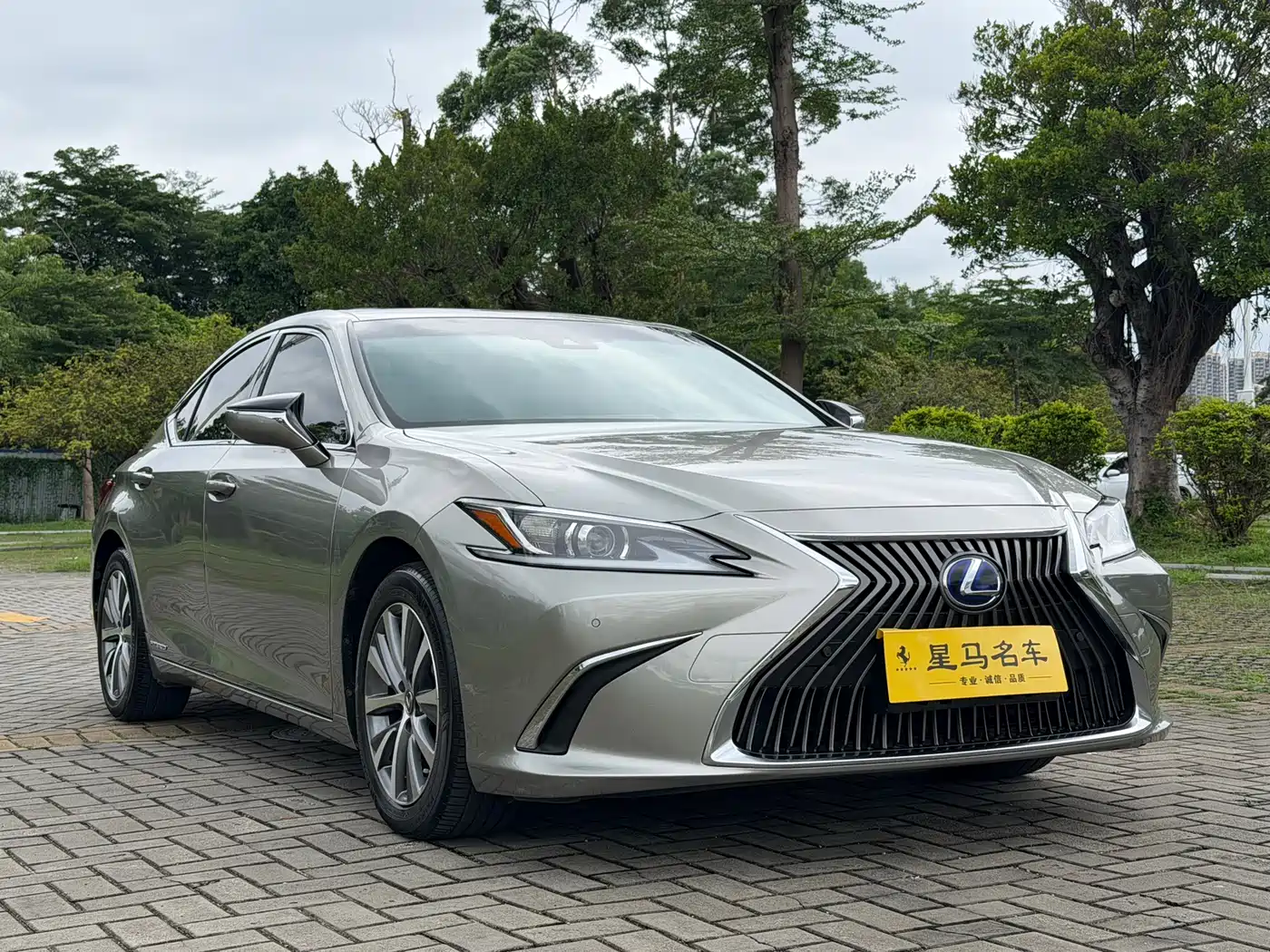 Lexus ES 2018 300h Excellence Edition China V фото 3