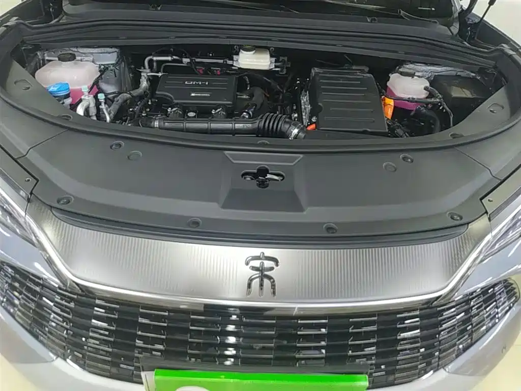 BYD Song L DM-i 2025 Smart Drive 160km Premium фото 20