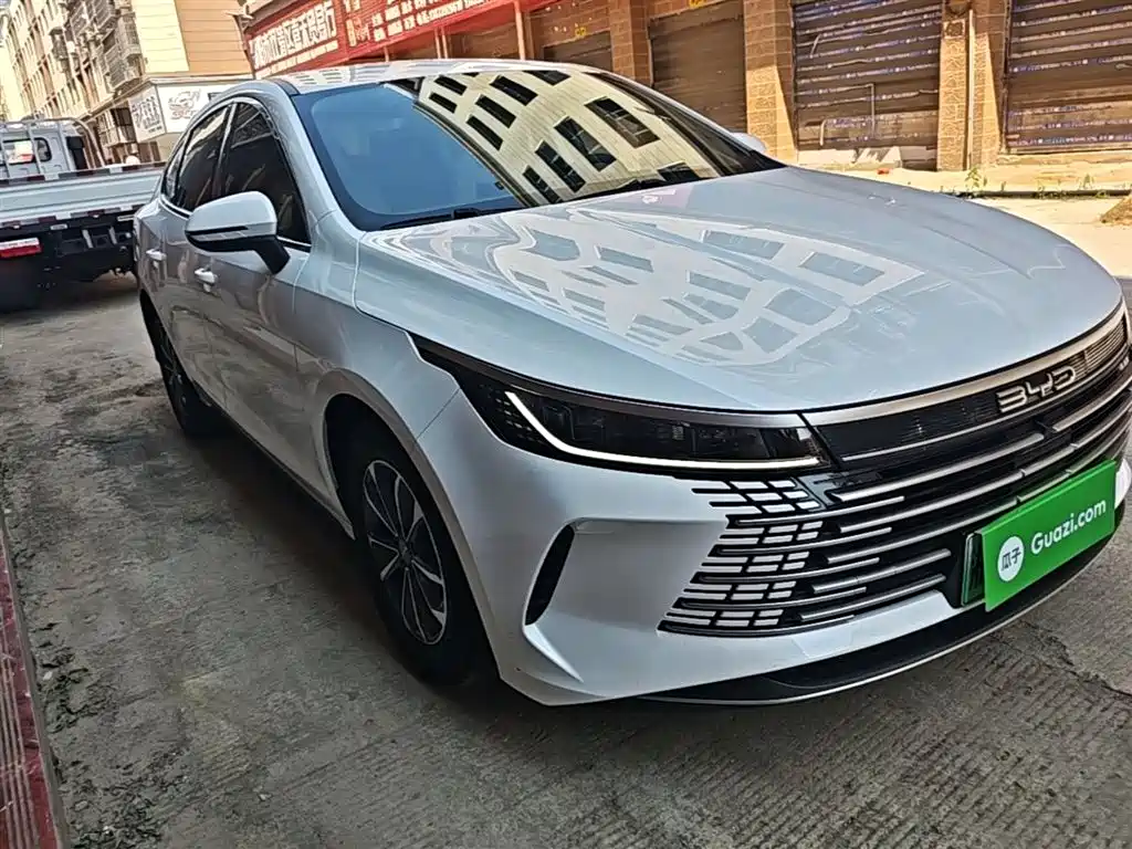 BYD Destroyer 05 2024 Glory Edition DM-i 55KM Luxury фото 4