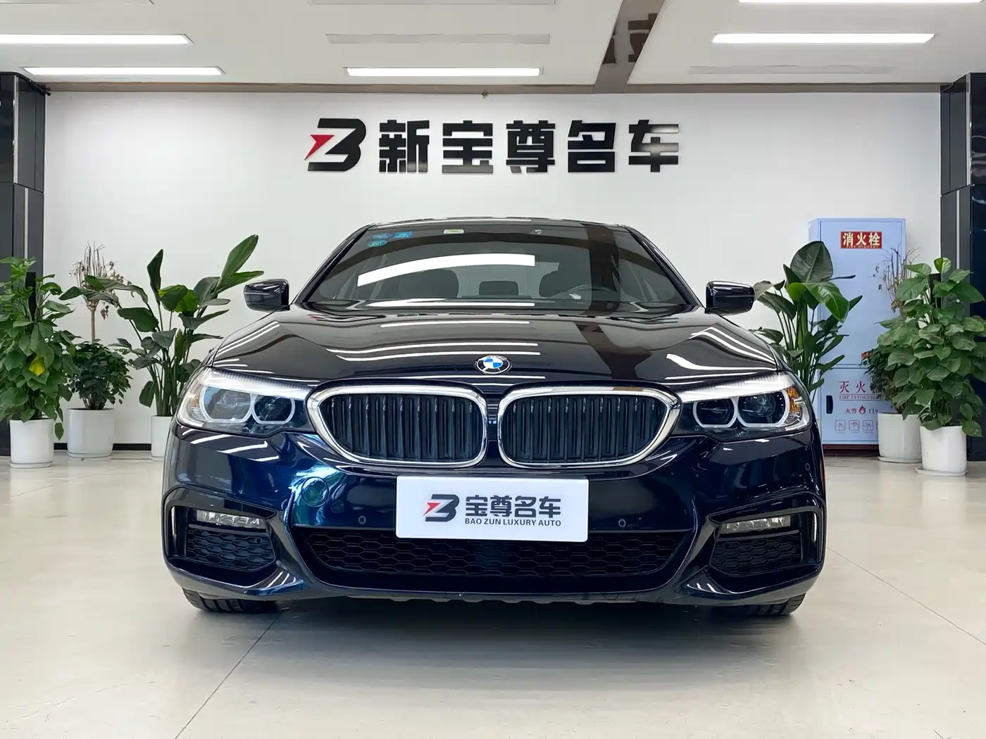 BMW 5 Series 2019 525Li M Sport Package фото 2