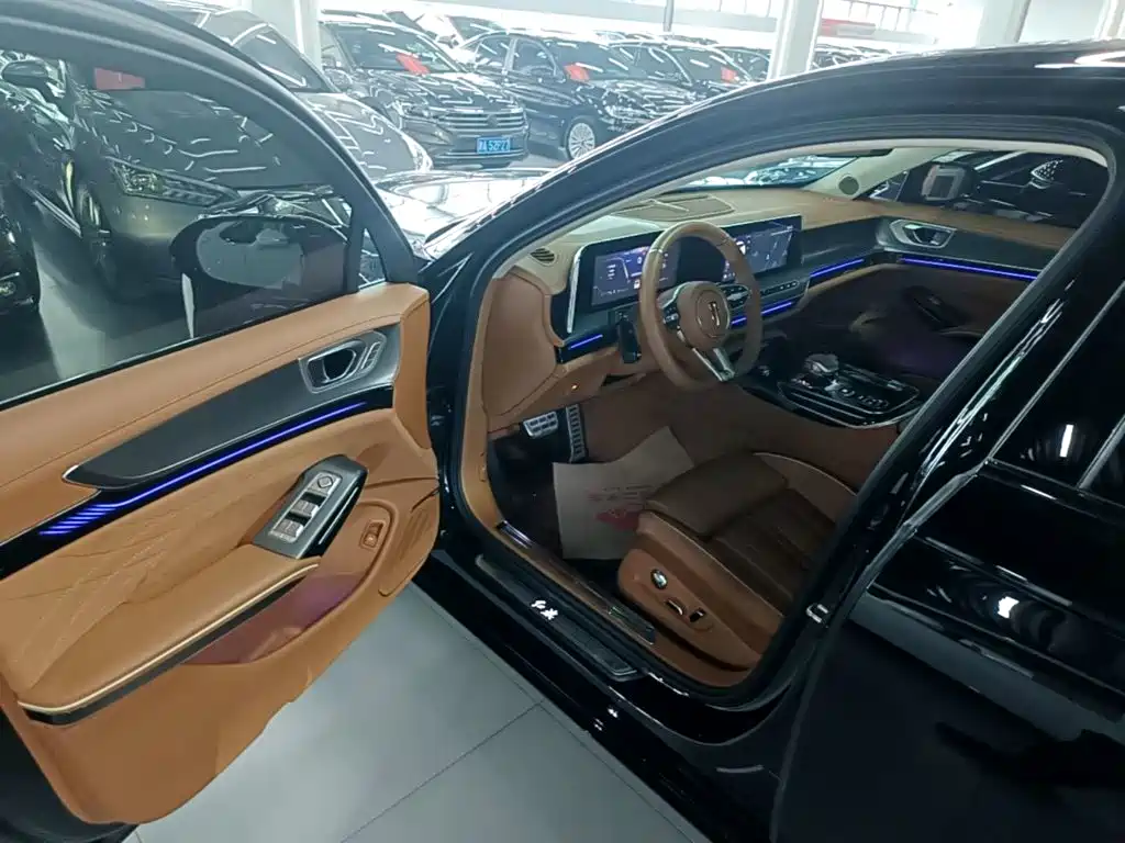 Hongqi H9 2025 2024 2.0T Qi Enjoy Private Fashion Edition