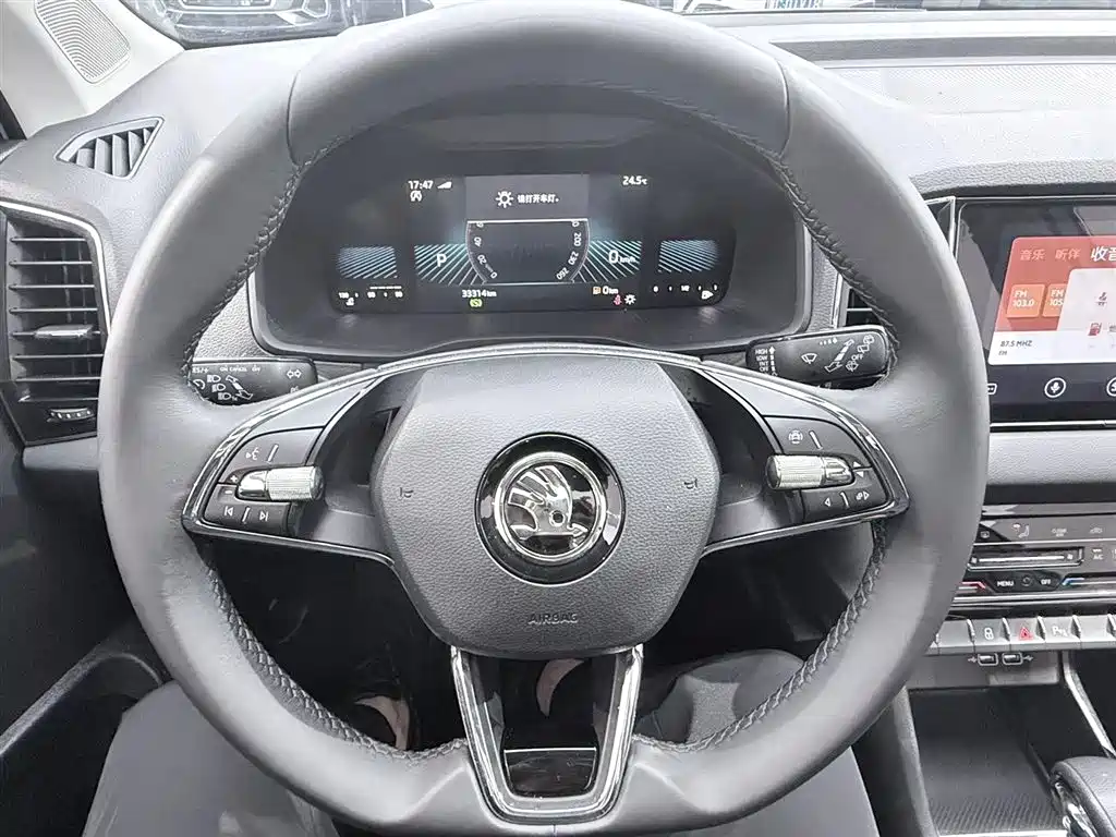 Škoda Karoq 2023 TSI280 Premium Edition фото 8