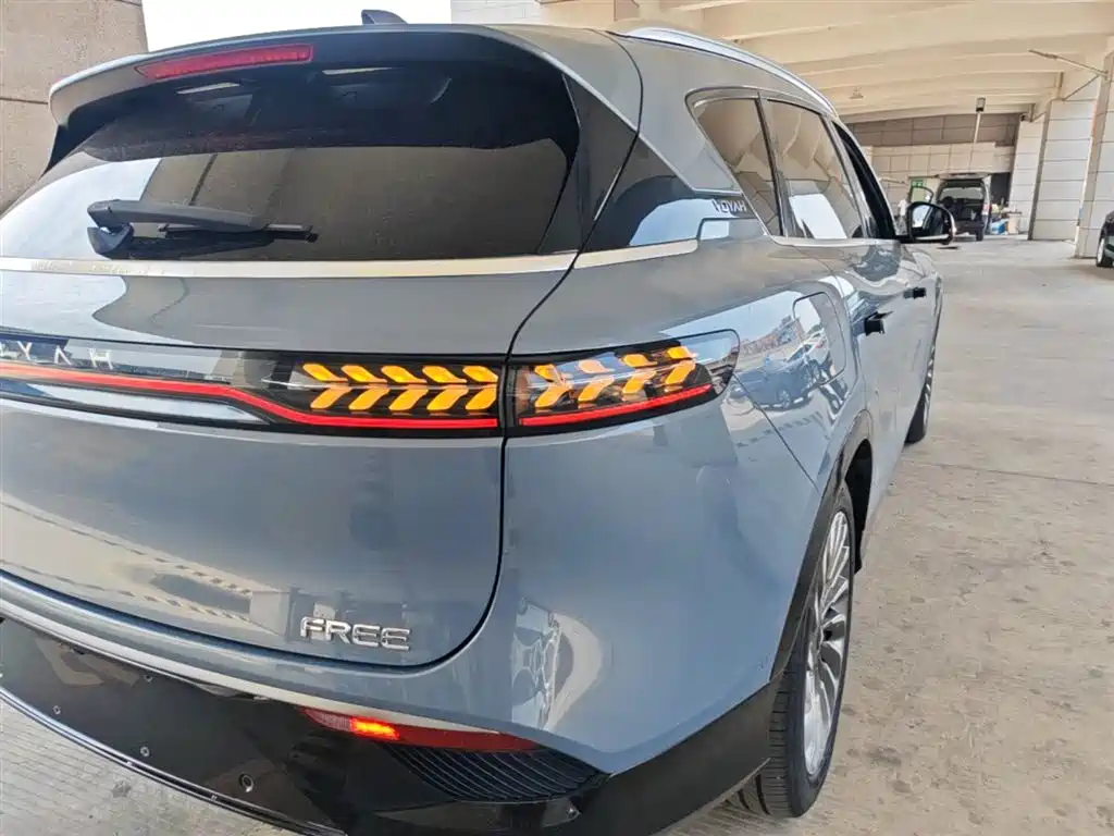 Voyah Auto VOYAH FREE 2021 AWD Standard Range Extender Exclusive Luxury Package фото 8