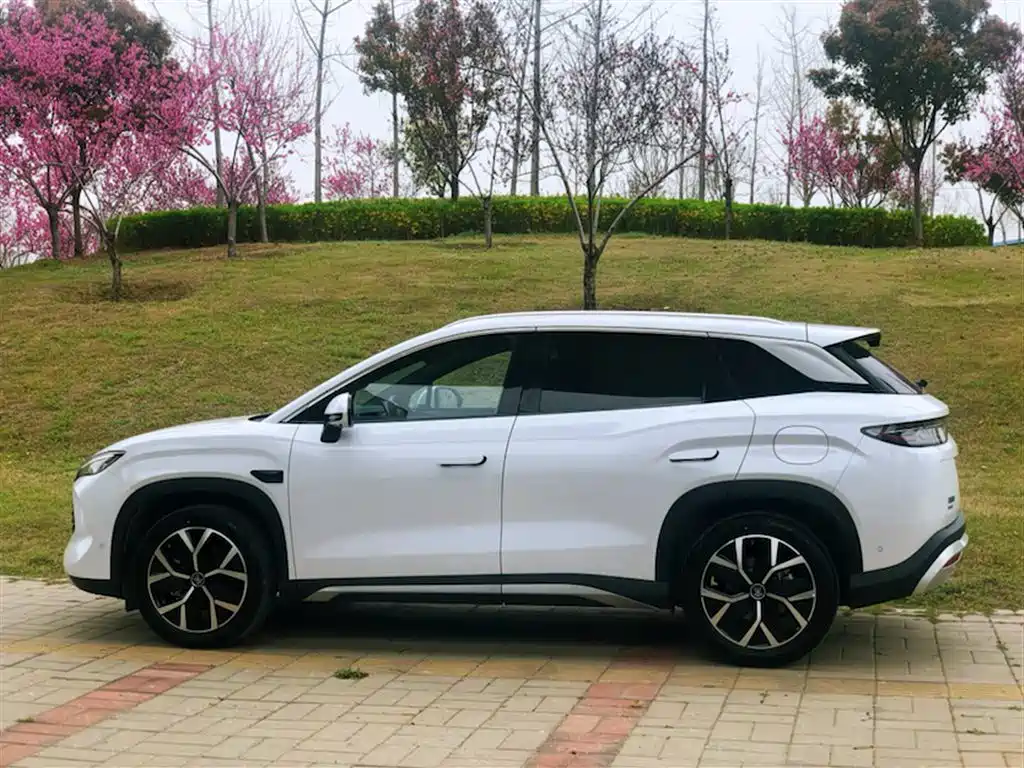 BYD Song L DM-i 2025 Smart Drive 160km Premium фото 18
