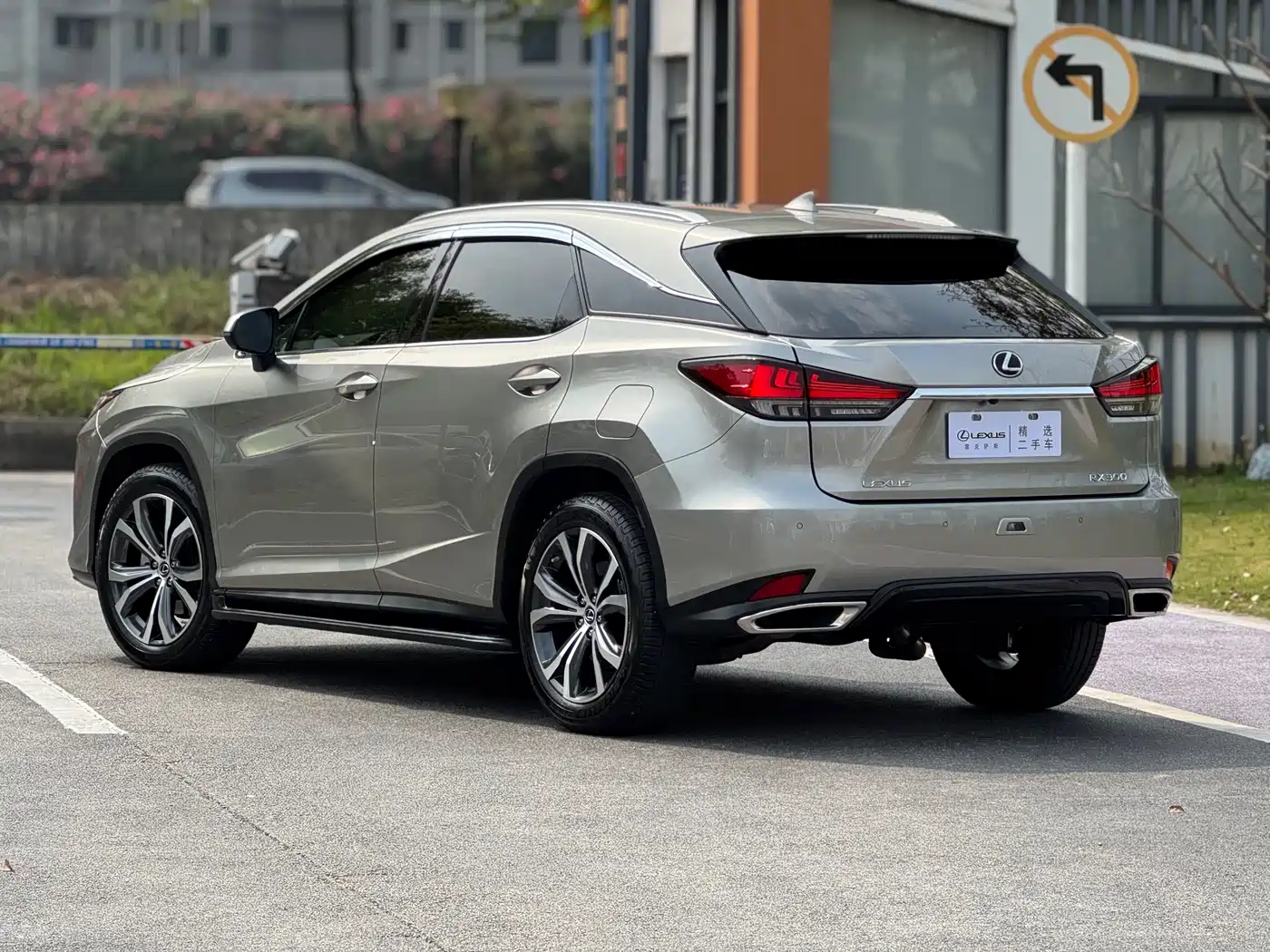 LEXUS RX