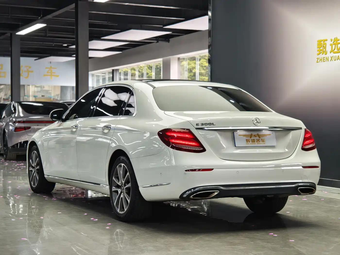 Mercedes-Benz E-Class 2019 E 300 L Fashion фото 17