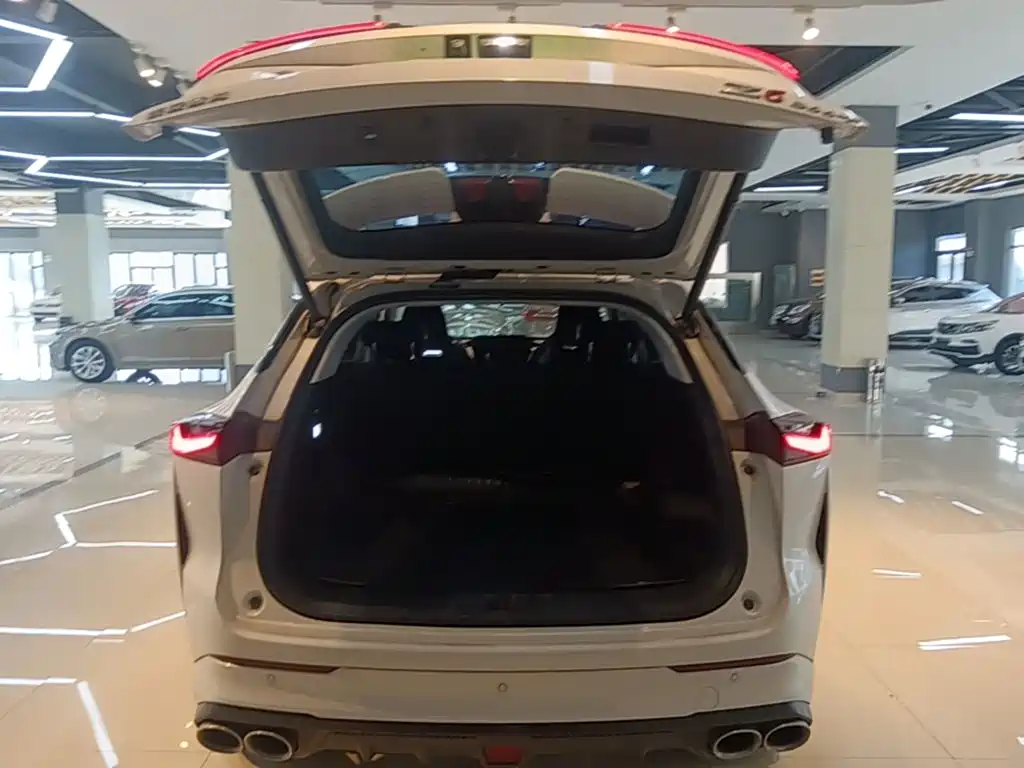 Фото 19 - Changan Oshan Z6