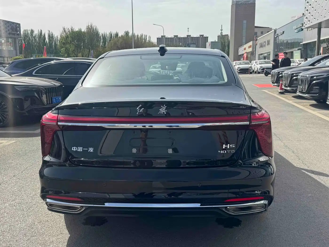 Hongqi H5 2024 2.0T Automatic Smart Connect Flag Smooth Edition фото 5