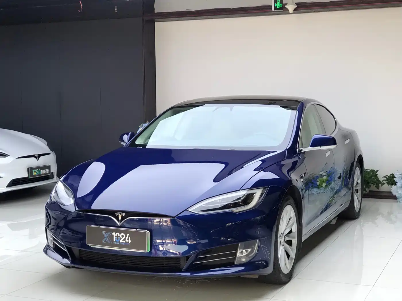 Tesla Model S 2019 2017 Model S 100D