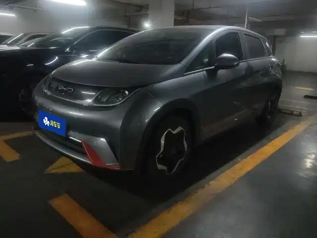 BYD Dolphin 2022