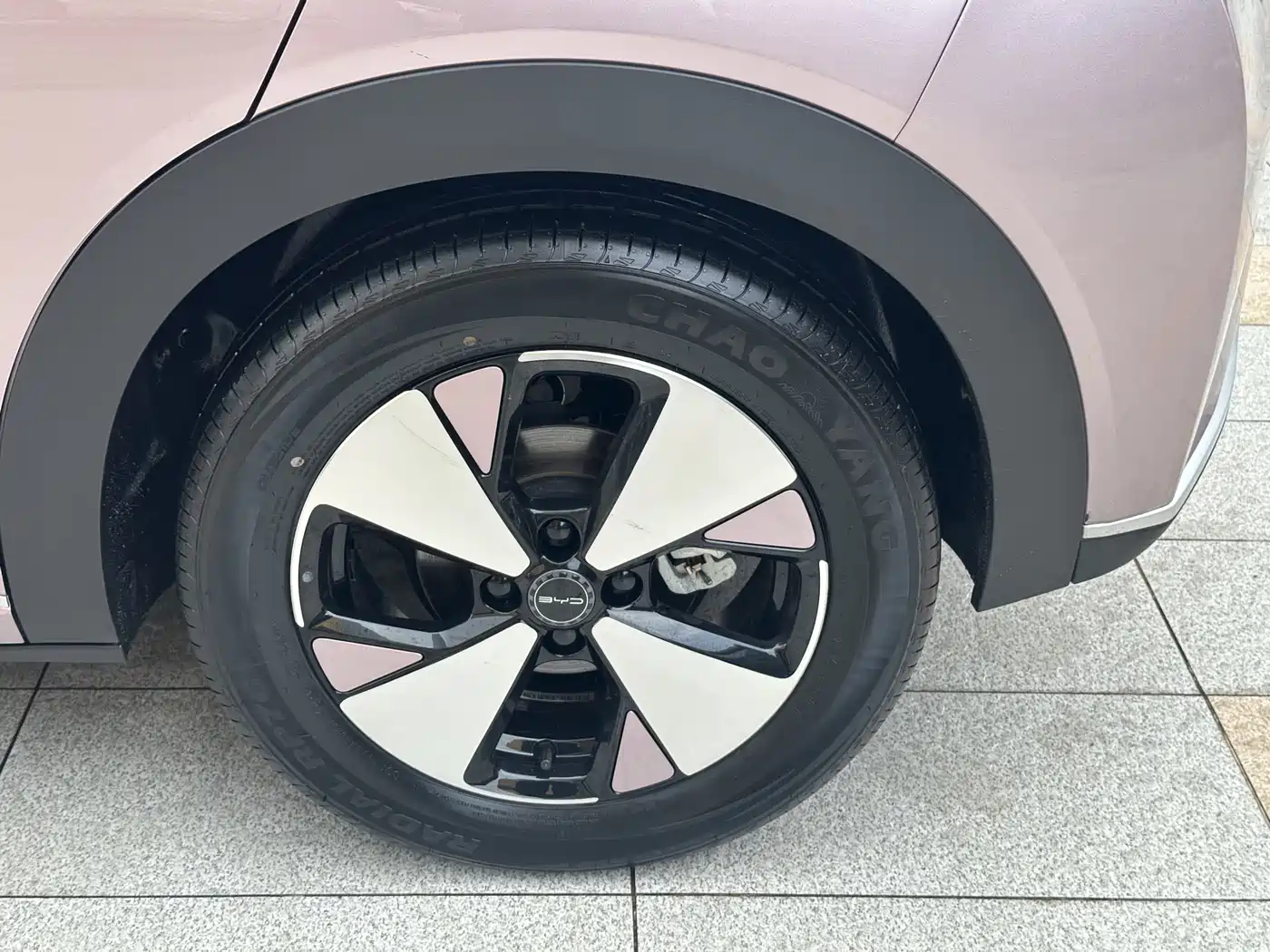 BYD Dolphin 2023 420km Fashion Edition фото 19