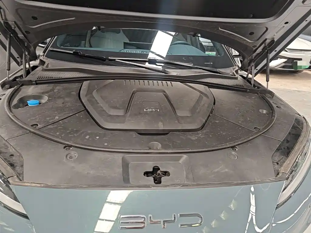 BYD Song PLUS PHEV 2024 Glory Edition DM-i 110km Flagship PLUS фото 20