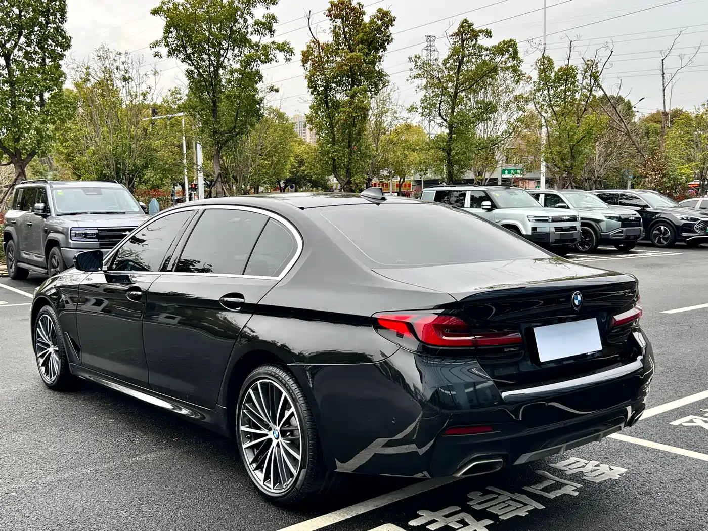 BMW 5 Series 2022 530Li Leading M Sport Package фото 4