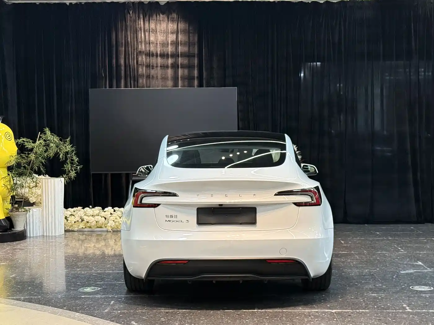 Фото 13 - Tesla Model 3