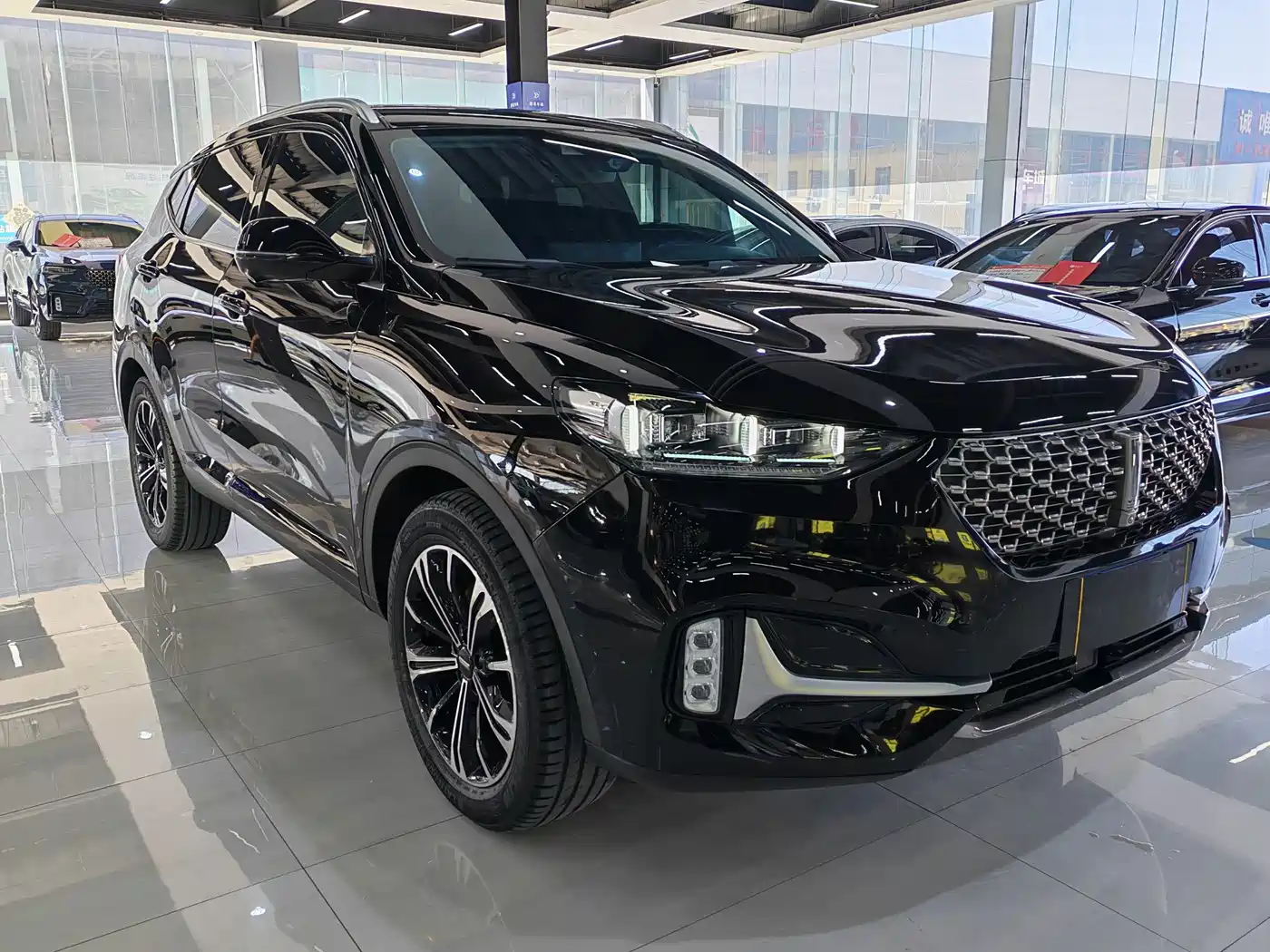 WEI PAI WEI BRAND VV6