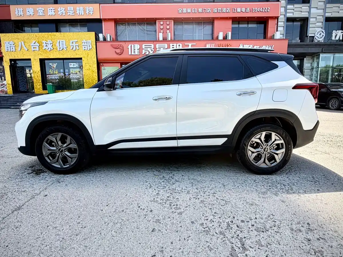 Kia Seltos 2023 1.5L CVT Luxury Edition фото 8