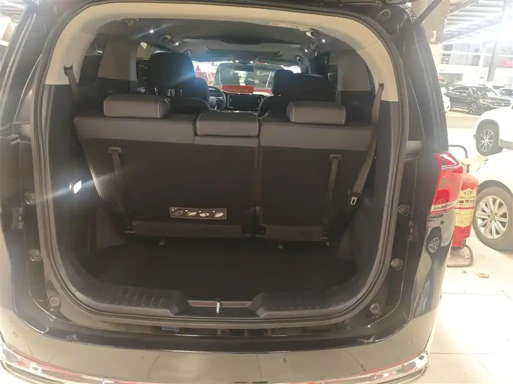 GAC Trumpchi Trumpchi M8 2023 Leading Series 390T Premium Edition фото 15