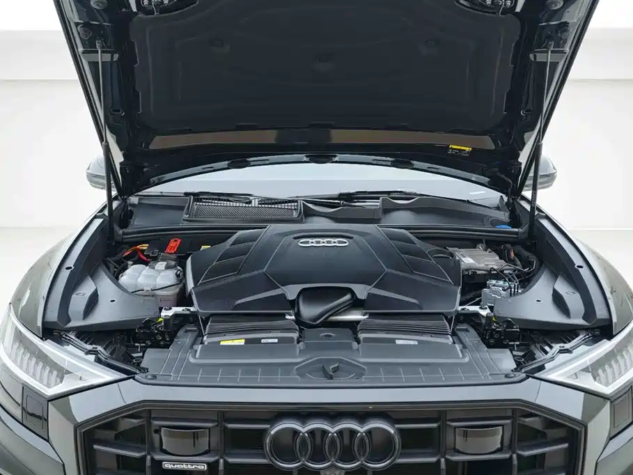 Audi Q8 2022 55 TFSI Exclusive Dynamic фото 7