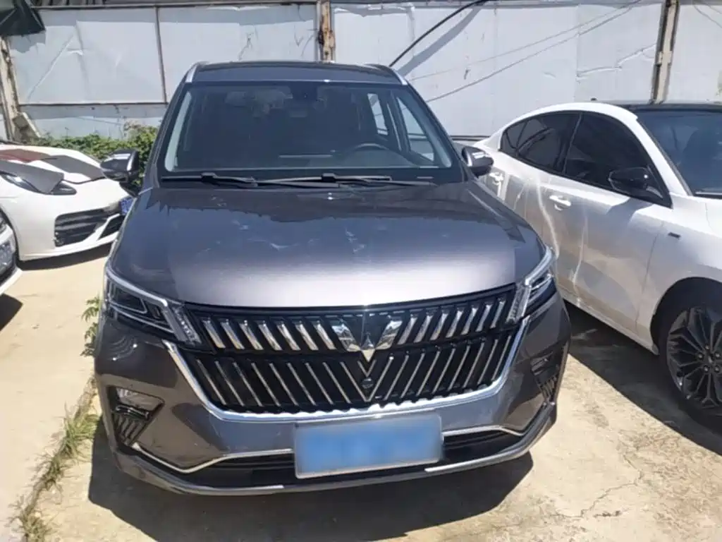 Wuling Motors Wuling Jiachen 2024 2022 1.5T CVT Exclusive Flagship Model
