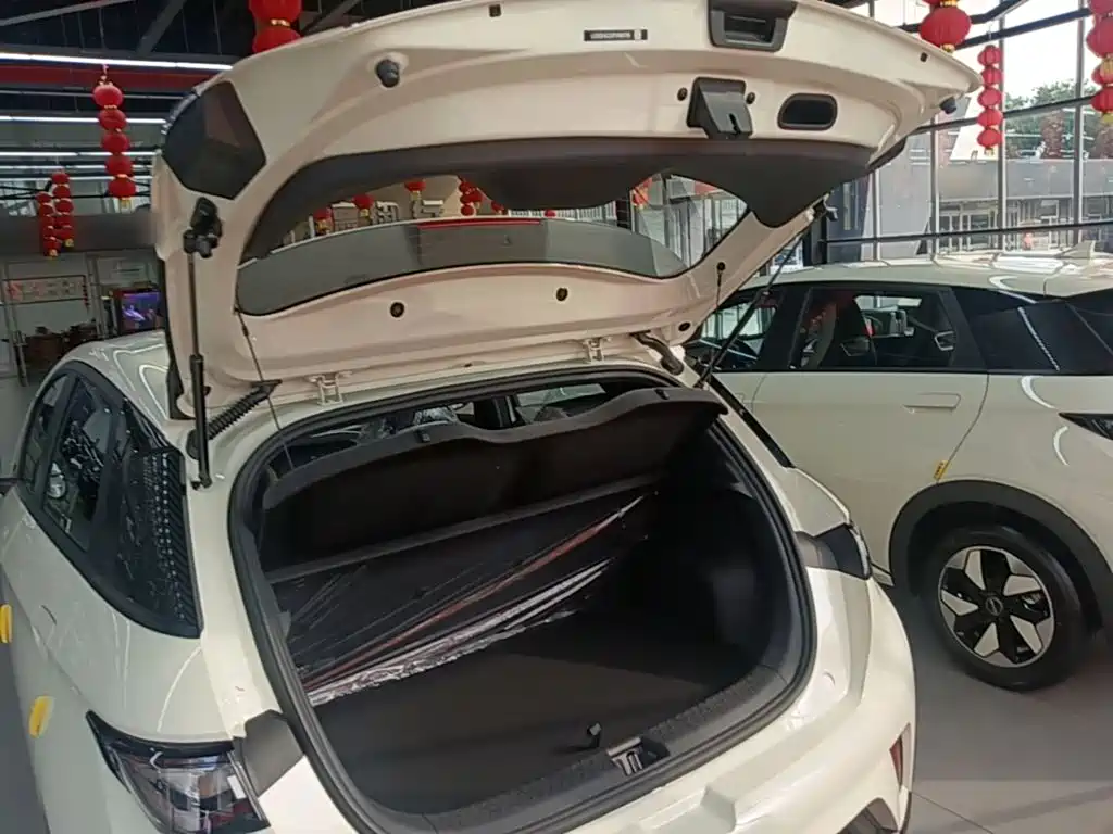 BYD Dolphin 2026 2025 420km Freedom Edition