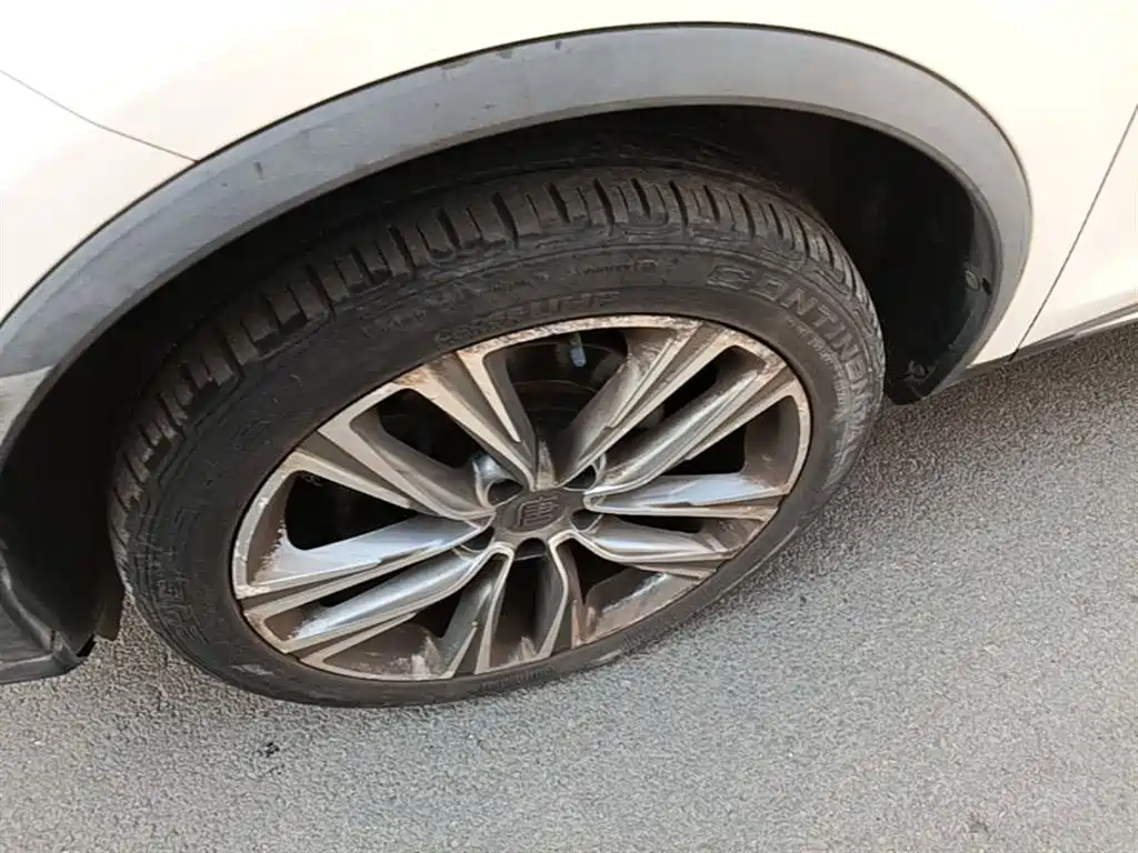 BYD Tang 2019 2.0T Automatic Smart Connect Honor 7-seater China VI фото 23
