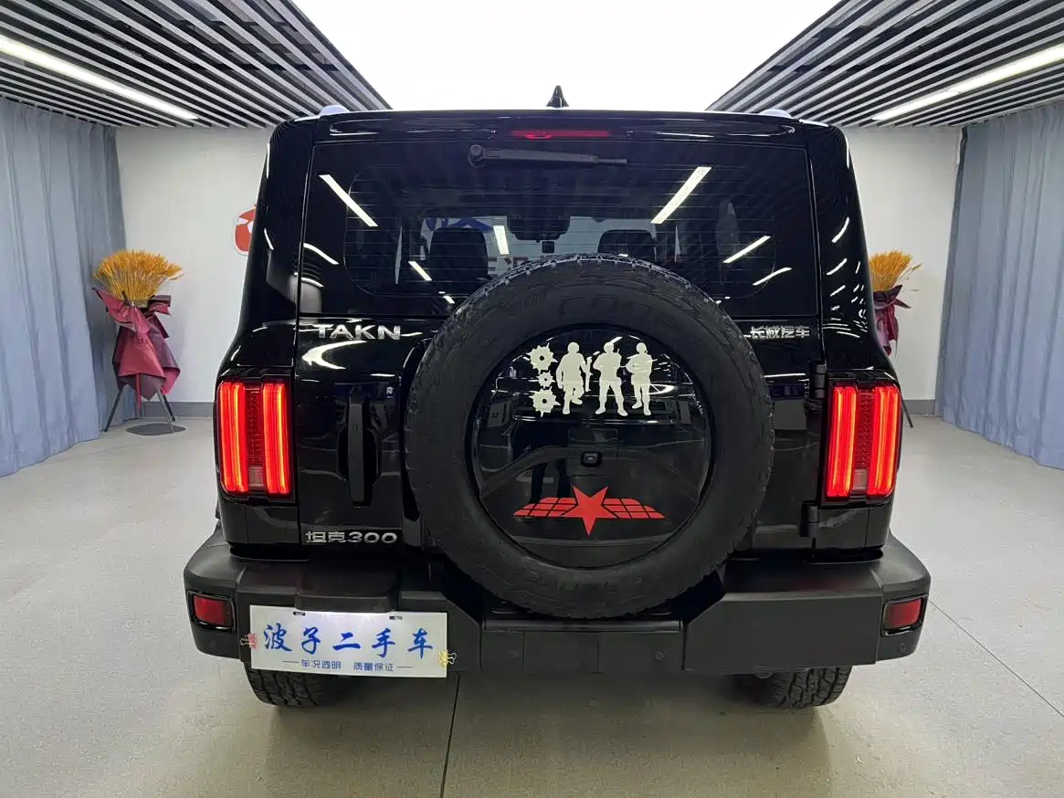 Tank 300 2023 Off-Road Edition 2.0T Conqueror фото 20