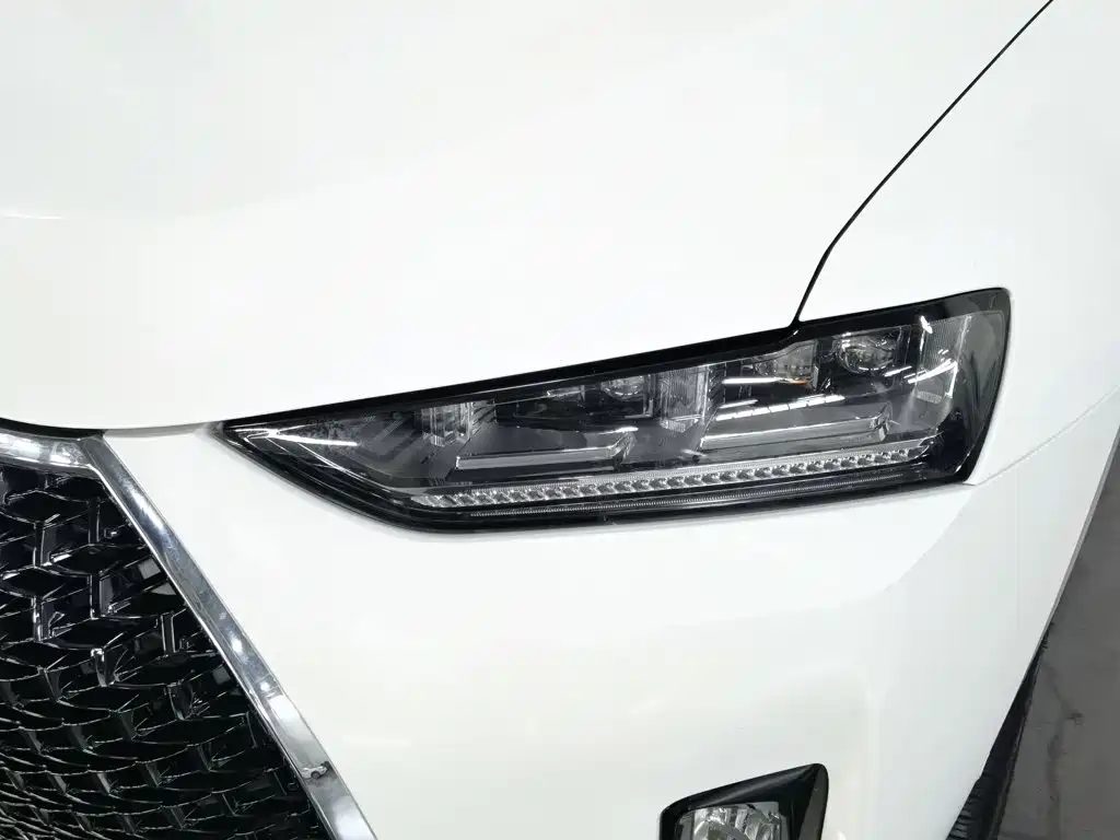 WEY P8 2018 2018 2.0T Flagship Model