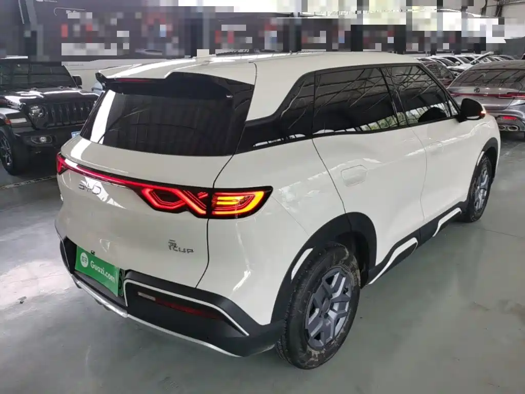 BYD Yuan UP 2025 2025 Model 301KM Navigator