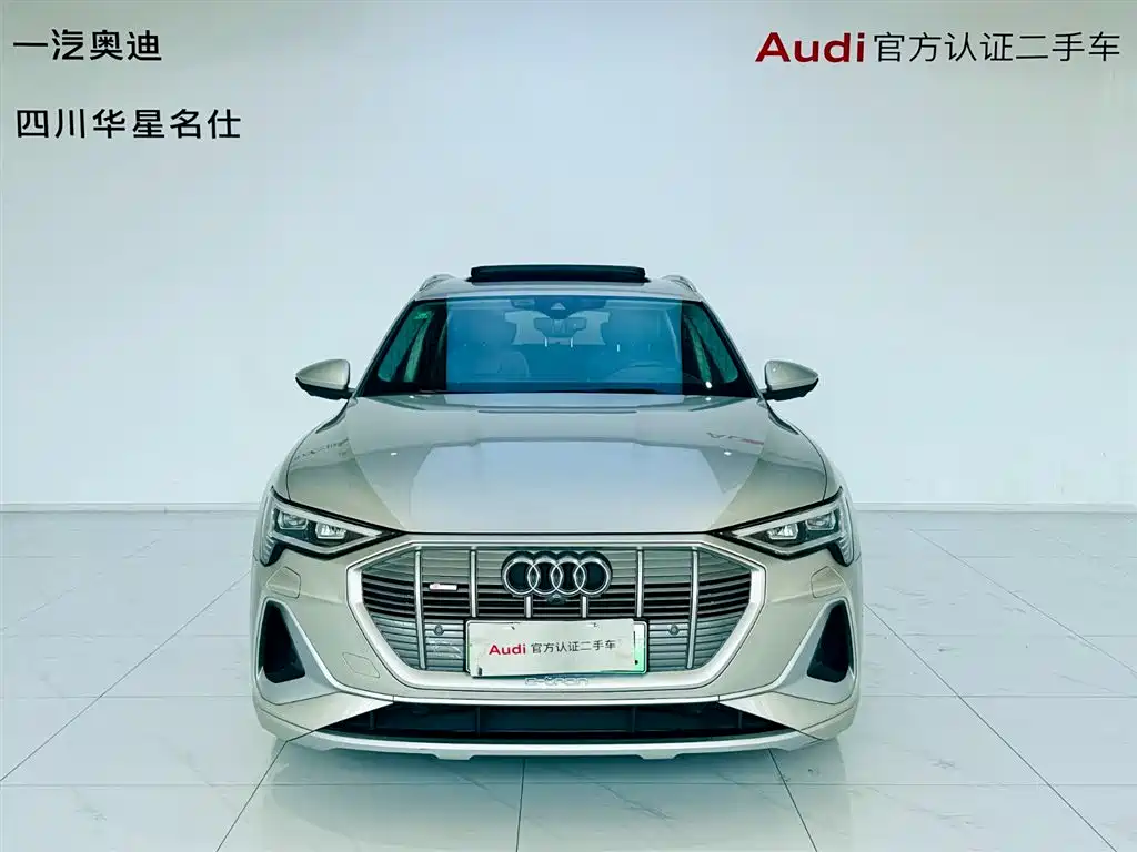 Audi e-tron 2021 50 quattro Exclusive Selection фото 2