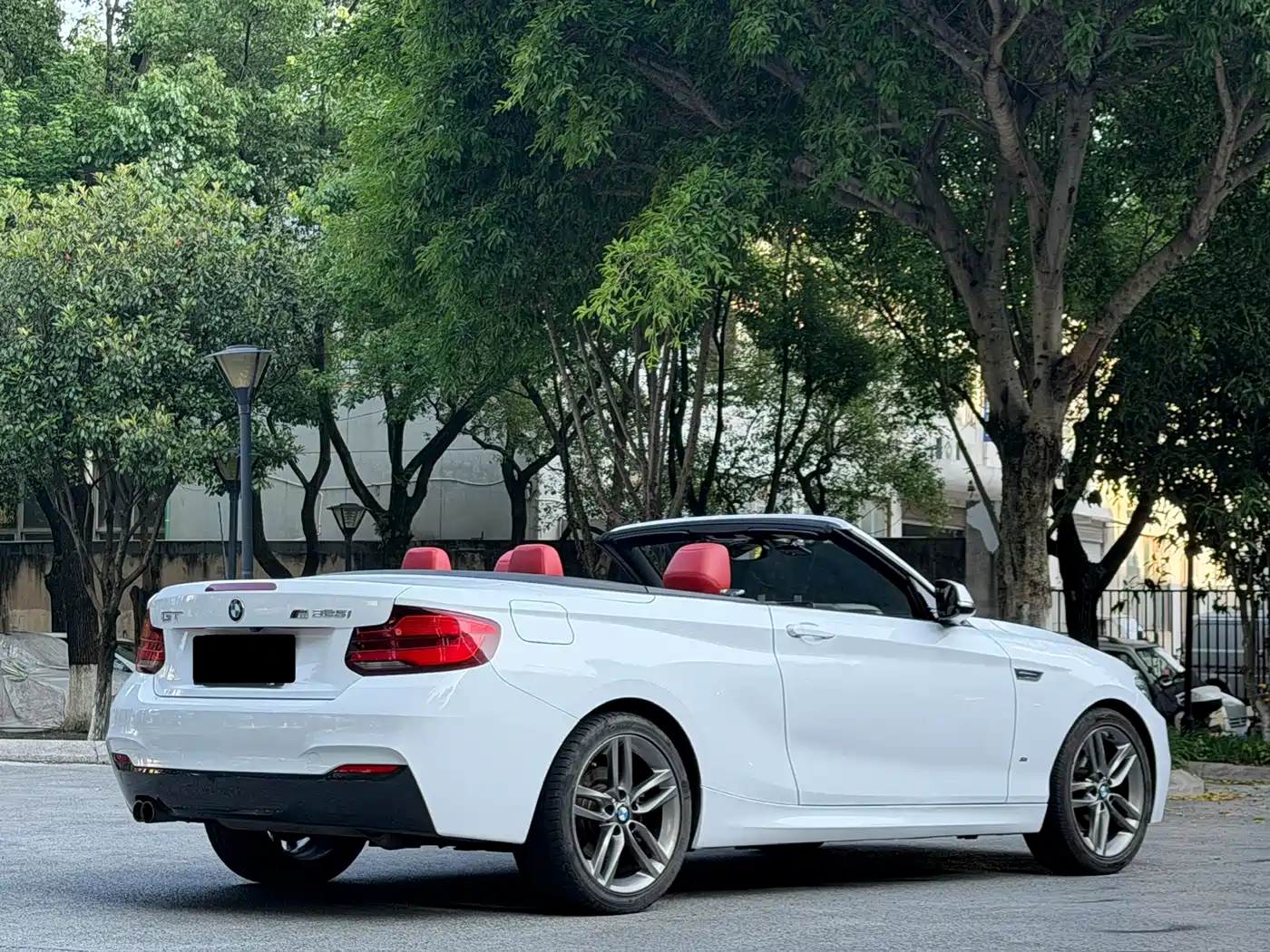 BMW 2 Series (Import) 2018 225i Convertible Coupe Premium M Sport Package фото 15
