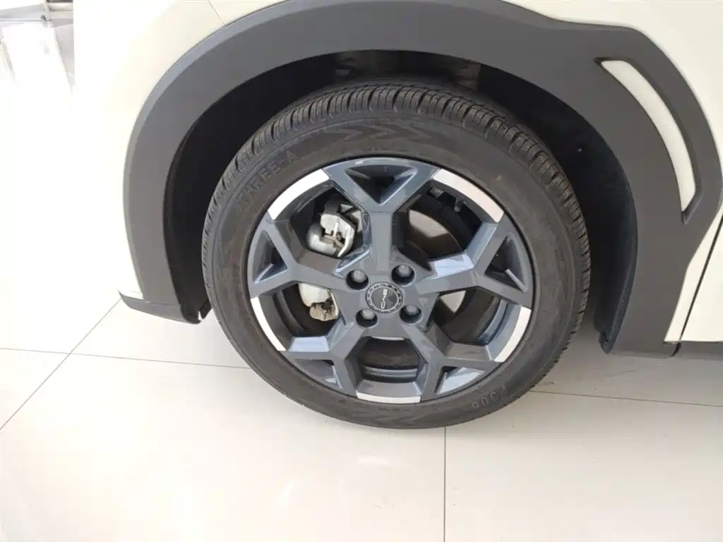 BYD Seagull 2023 Vitality Edition фото 23