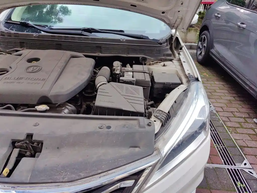 Changan Eado DT 2019 2019 1.6L Manual Premium Edition China VI