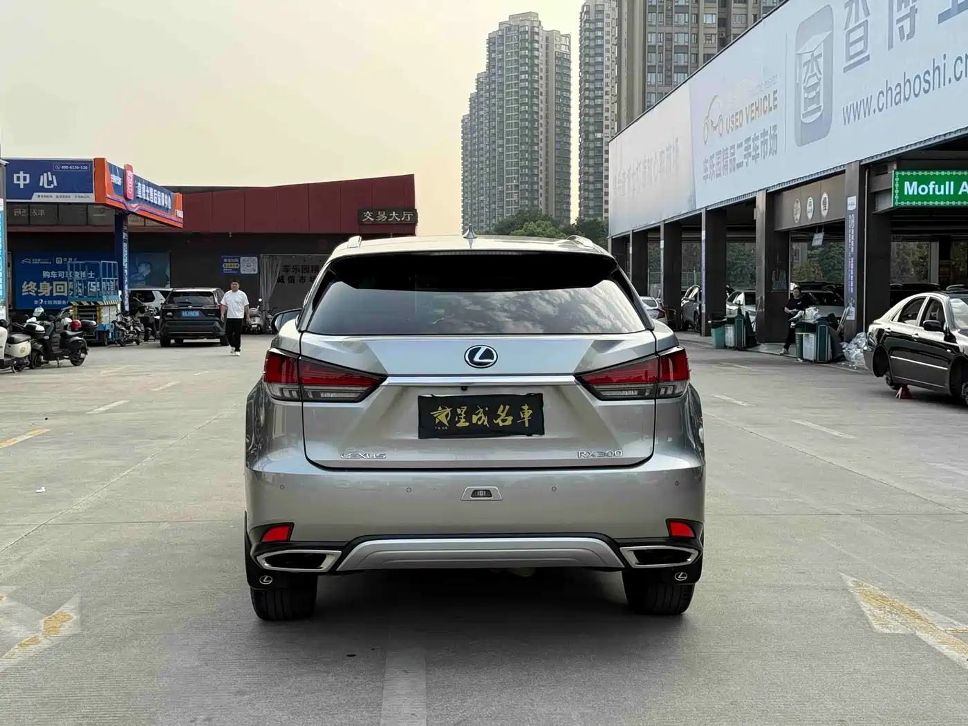 LEXUS RX