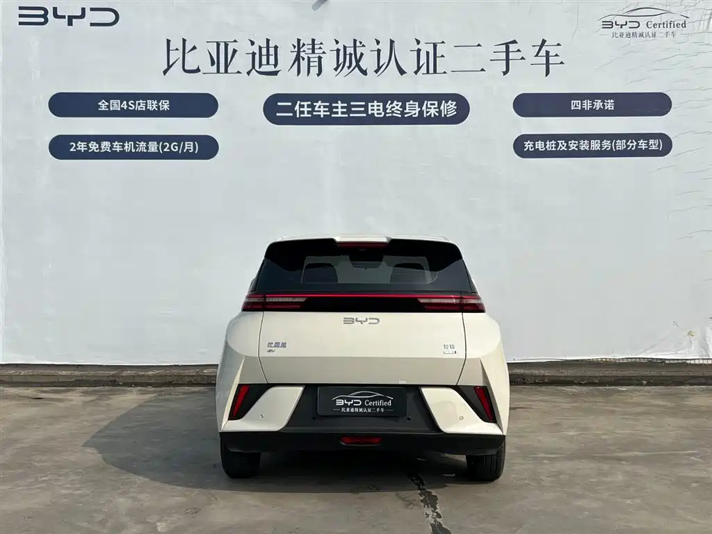 BYD Seagull 2025 Smart Drive Edition 305km Freedom Version фото 5