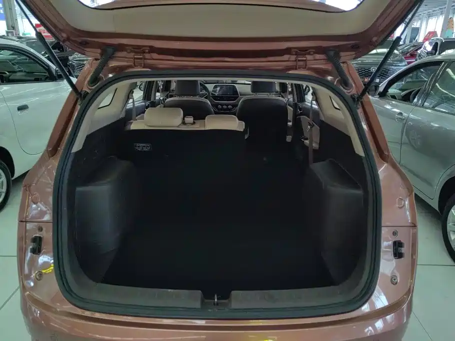 Baojun 310W 2018 2017 1.5L Manual Luxury China V