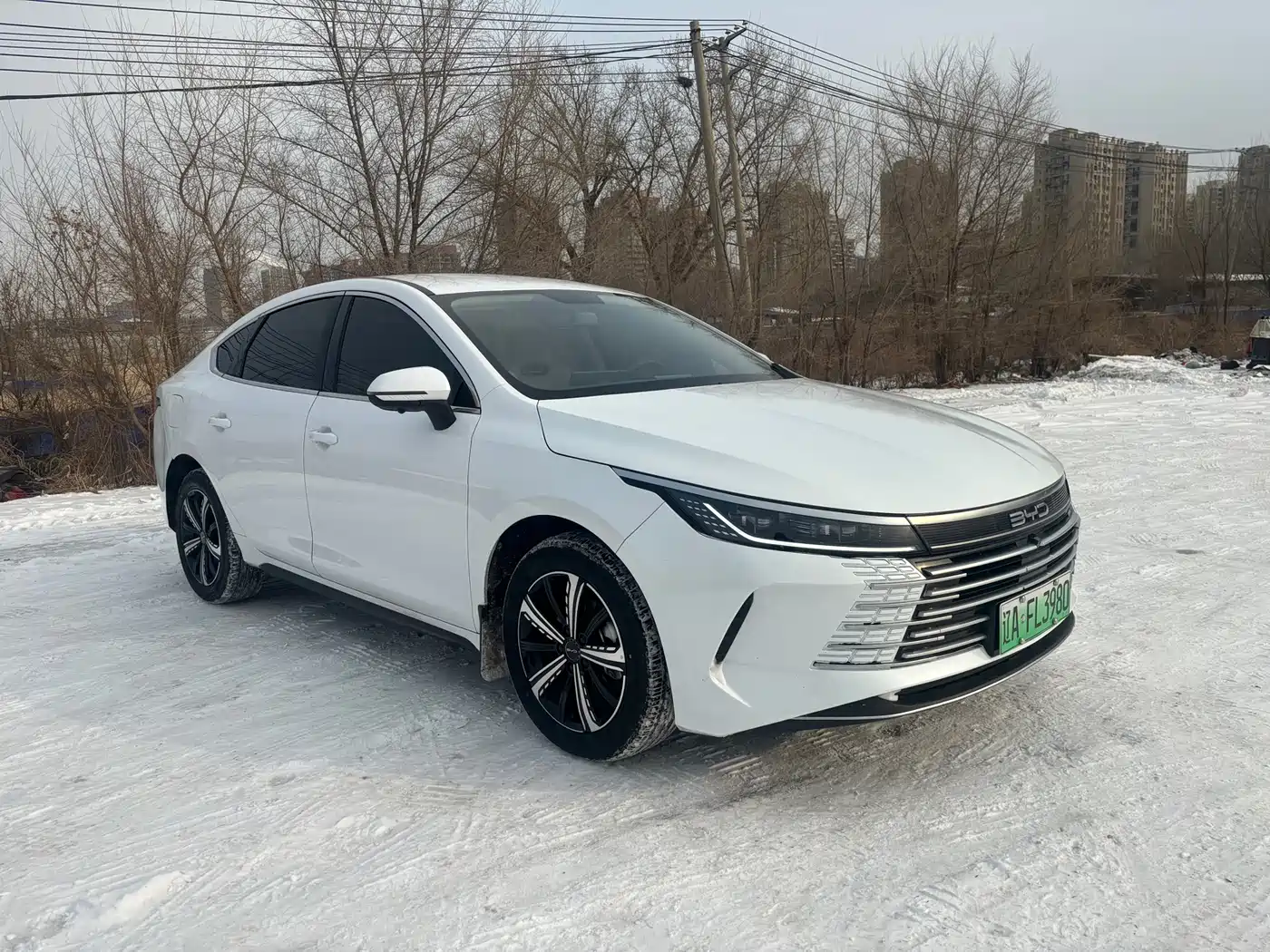 BYD DESTROYER 05
