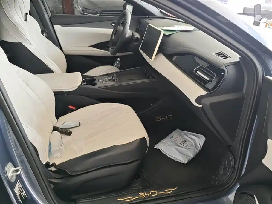 BYD Seal 06 New Energy 2024 DM-i 80KM Prestige фото 8